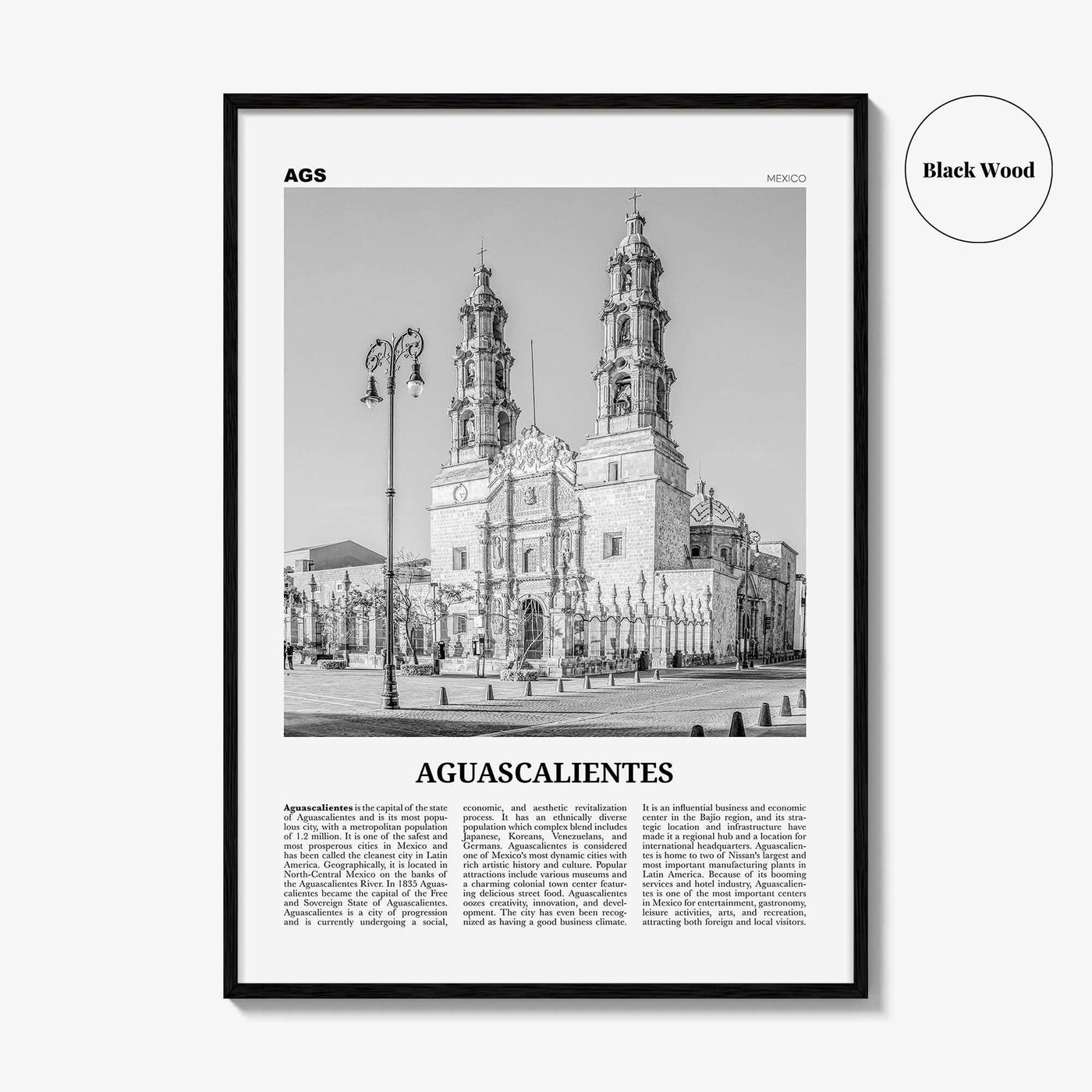 Aguascalientes Print Black and White, Aguascalientes Wall Art, Aguascalientes Poster, Aguascalientes Photo, Aguascalientes Décor, Mexico