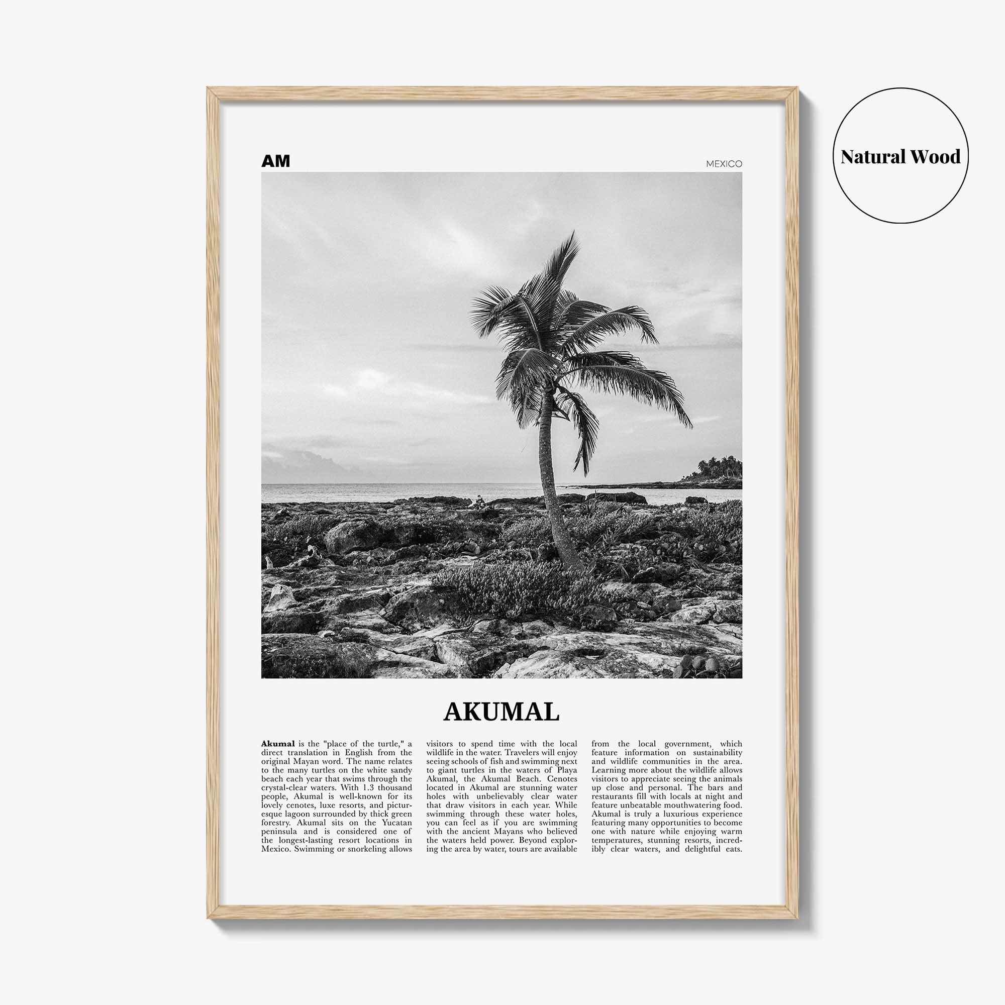 Akumal Print Black and White, Akumal Wall Art, Akumal Poster, Akumal Photo, Akumal Map, Akumal Wall Decor, Mexico