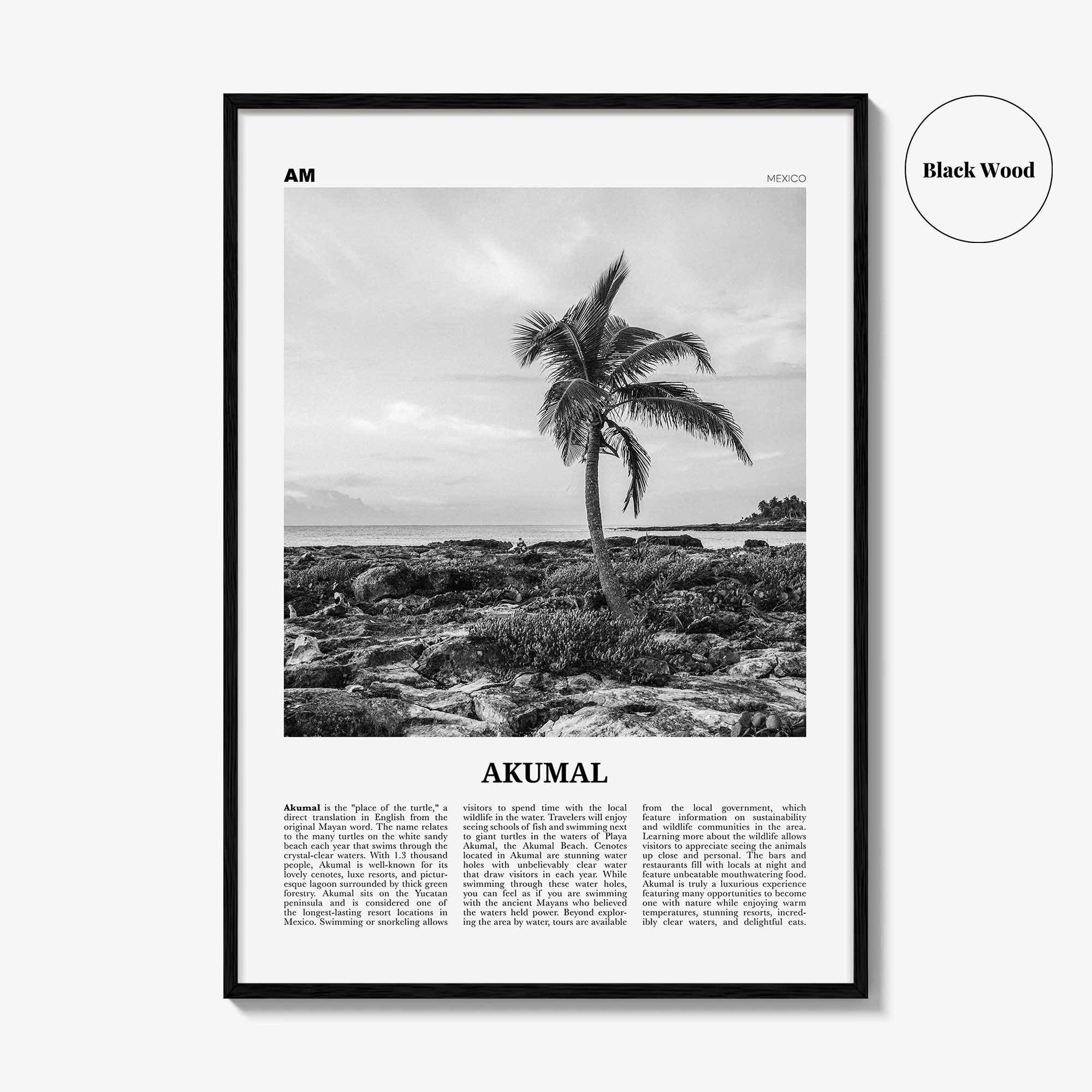 Akumal Print Black and White, Akumal Wall Art, Akumal Poster, Akumal Photo, Akumal Map, Akumal Wall Decor, Mexico