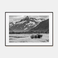 Alaska Landscape B&W Poster