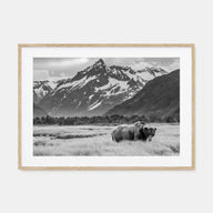 Alaska Landscape B&W Poster
