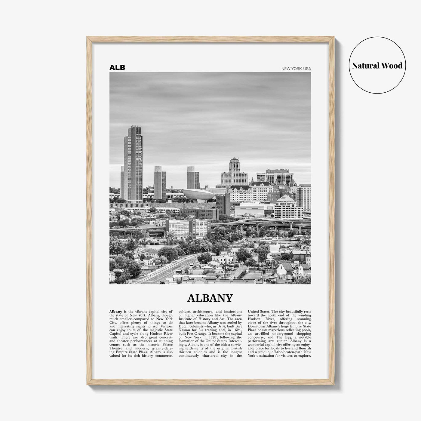 Albany Print Black and White New York, Albany Wall Art, Albany Poster, Albany Photo, Albany Wall Décor, New York, USA, United States