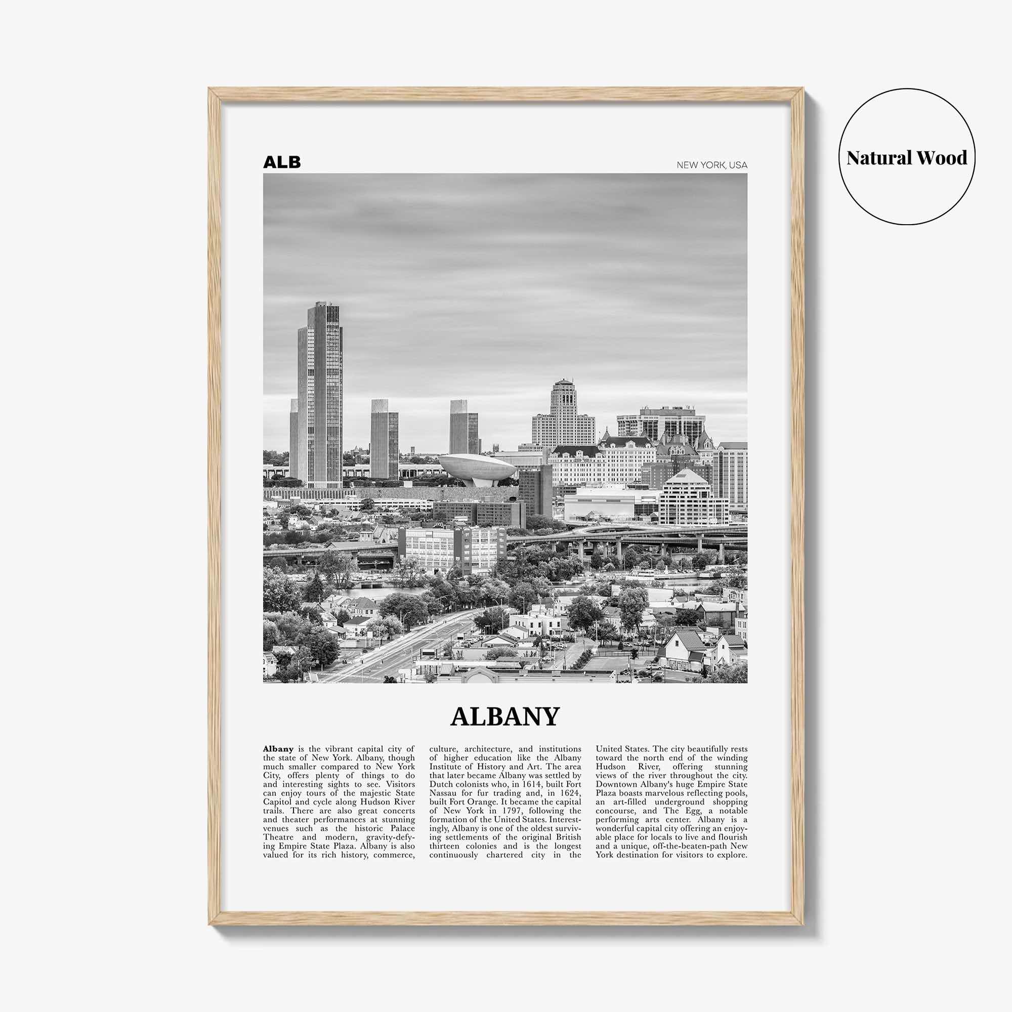 Albany Print Black and White New York, Albany Wall Art, Albany Poster, Albany Photo, Albany Wall Décor, New York, USA, United States