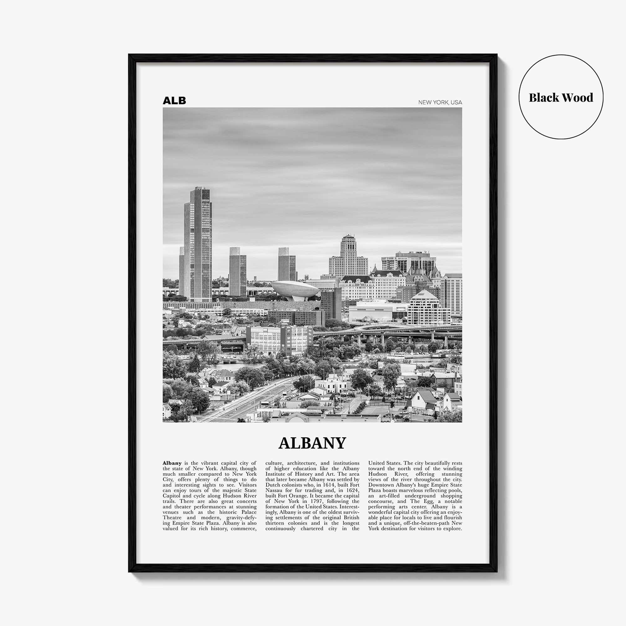 Albany Print Black and White New York, Albany Wall Art, Albany Poster, Albany Photo, Albany Wall Décor, New York, USA, United States