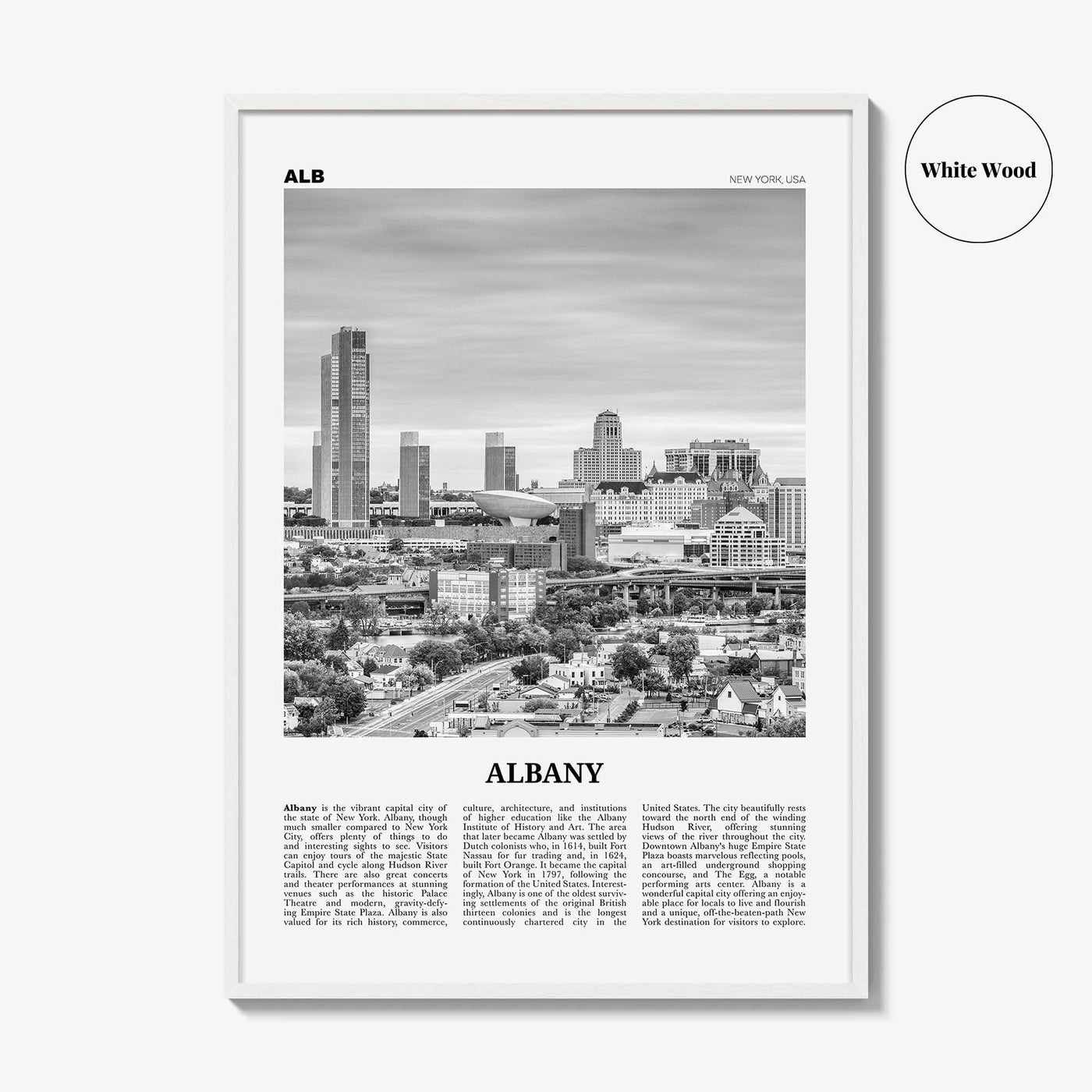 Albany Print Black and White New York, Albany Wall Art, Albany Poster, Albany Photo, Albany Wall Décor, New York, USA, United States