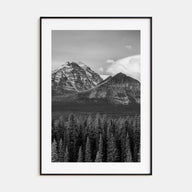 Alberta Photo B&W Poster