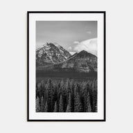 Alberta Photo B&W Poster