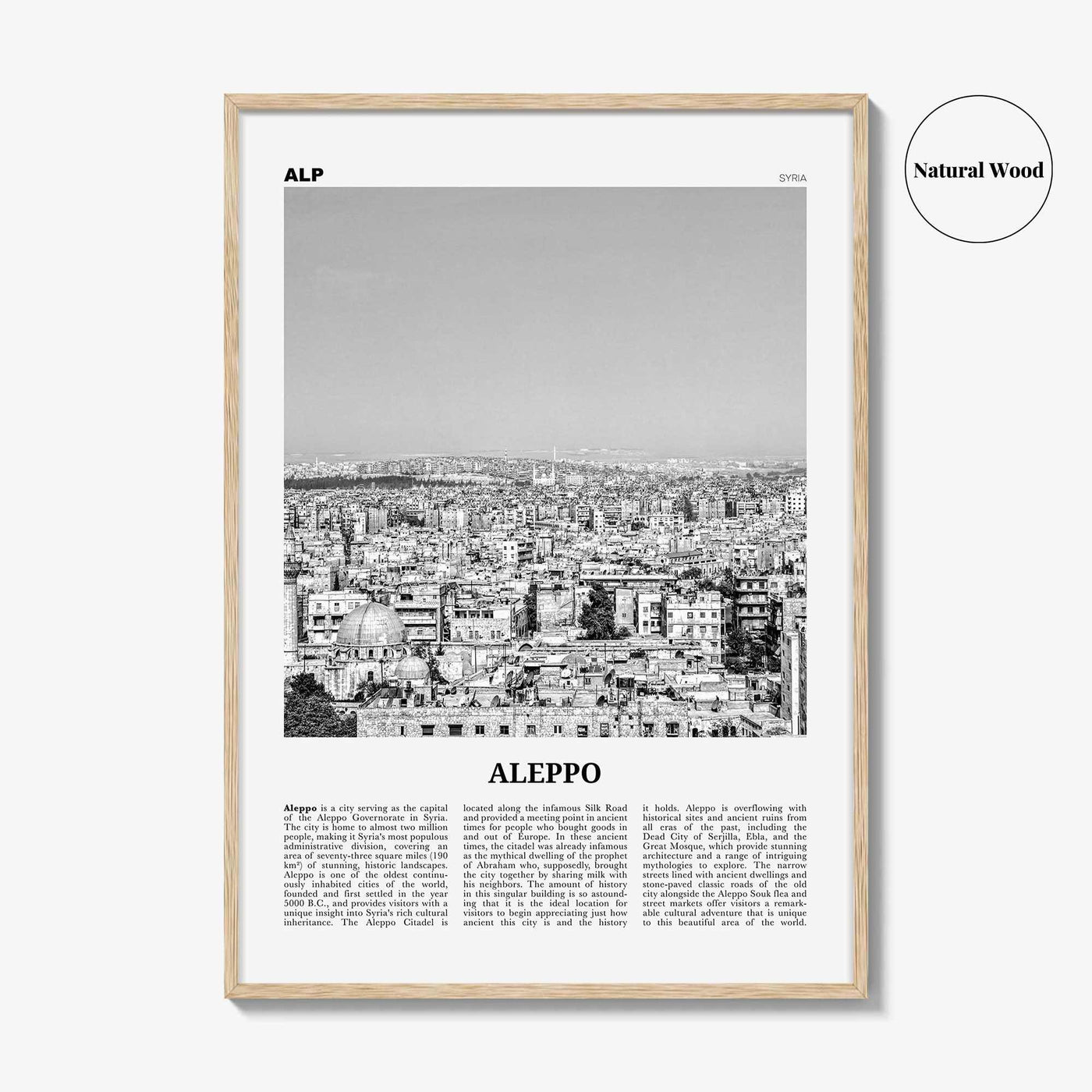Aleppo Print Black and White, Aleppo Wall Art, Aleppo Poster, Aleppo Photo, Aleppo Wall Décor, Syria, Al-Shahbaa