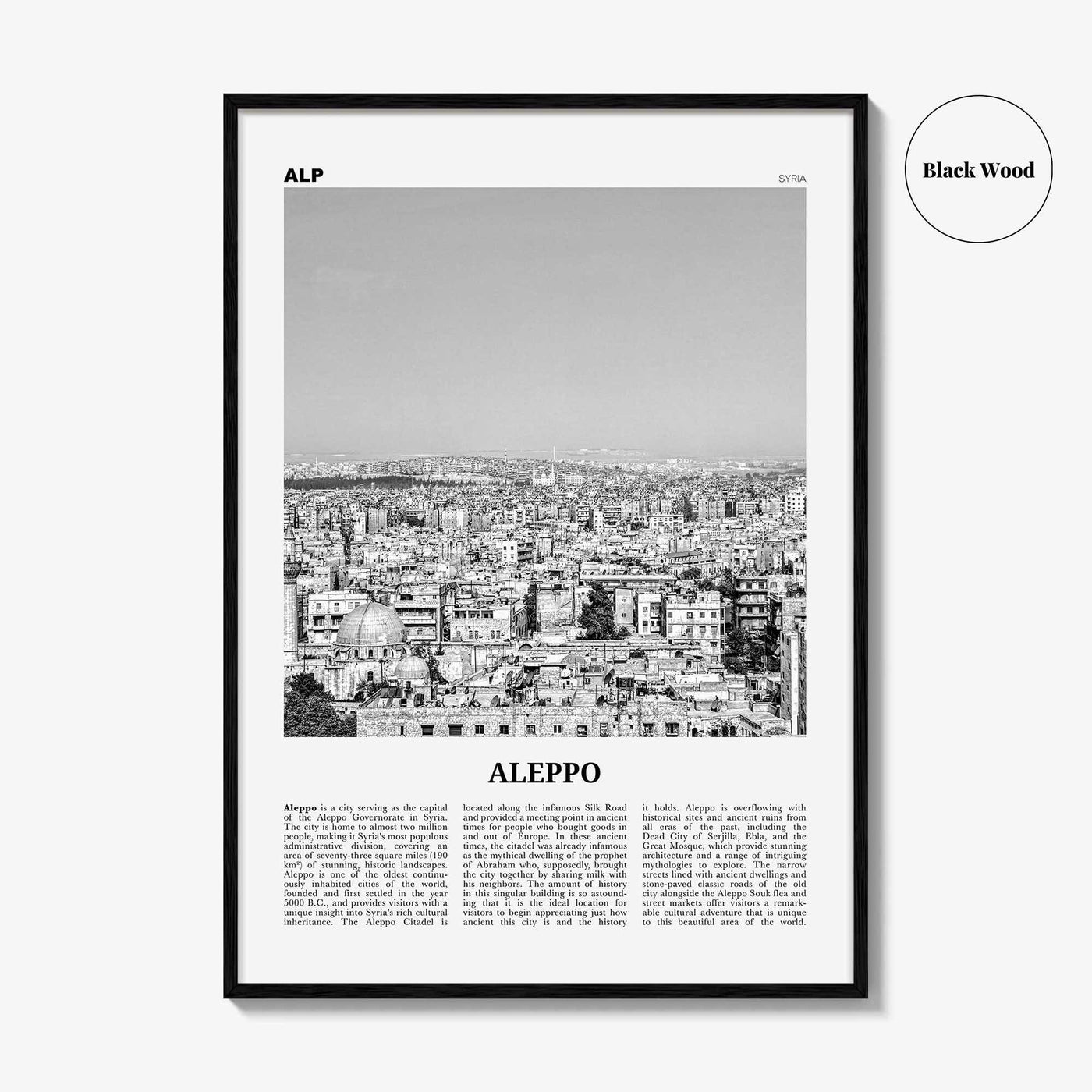 Aleppo Print Black and White, Aleppo Wall Art, Aleppo Poster, Aleppo Photo, Aleppo Wall Décor, Syria, Al-Shahbaa