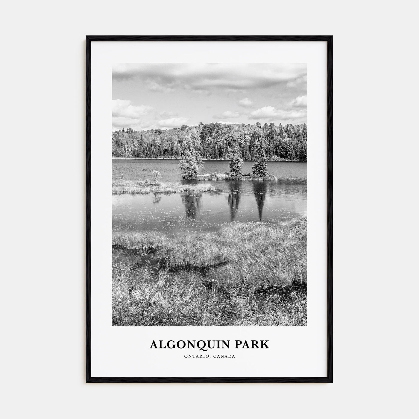 Algonquin Park Portrait B&W Poster