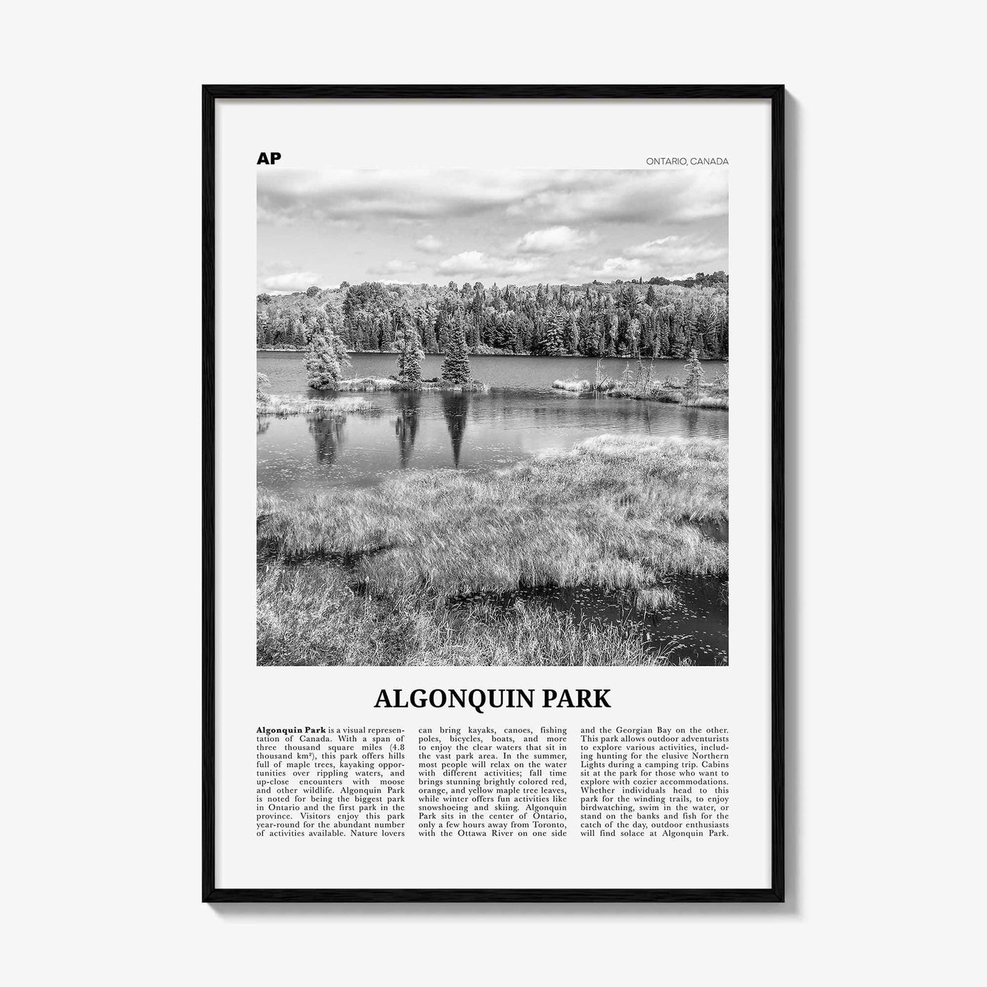 Algonquin Park Print Black and White, Algonquin Park Wall Art, Algonquin Park Poster, Algonquin Park Photo, Ontario, Canada