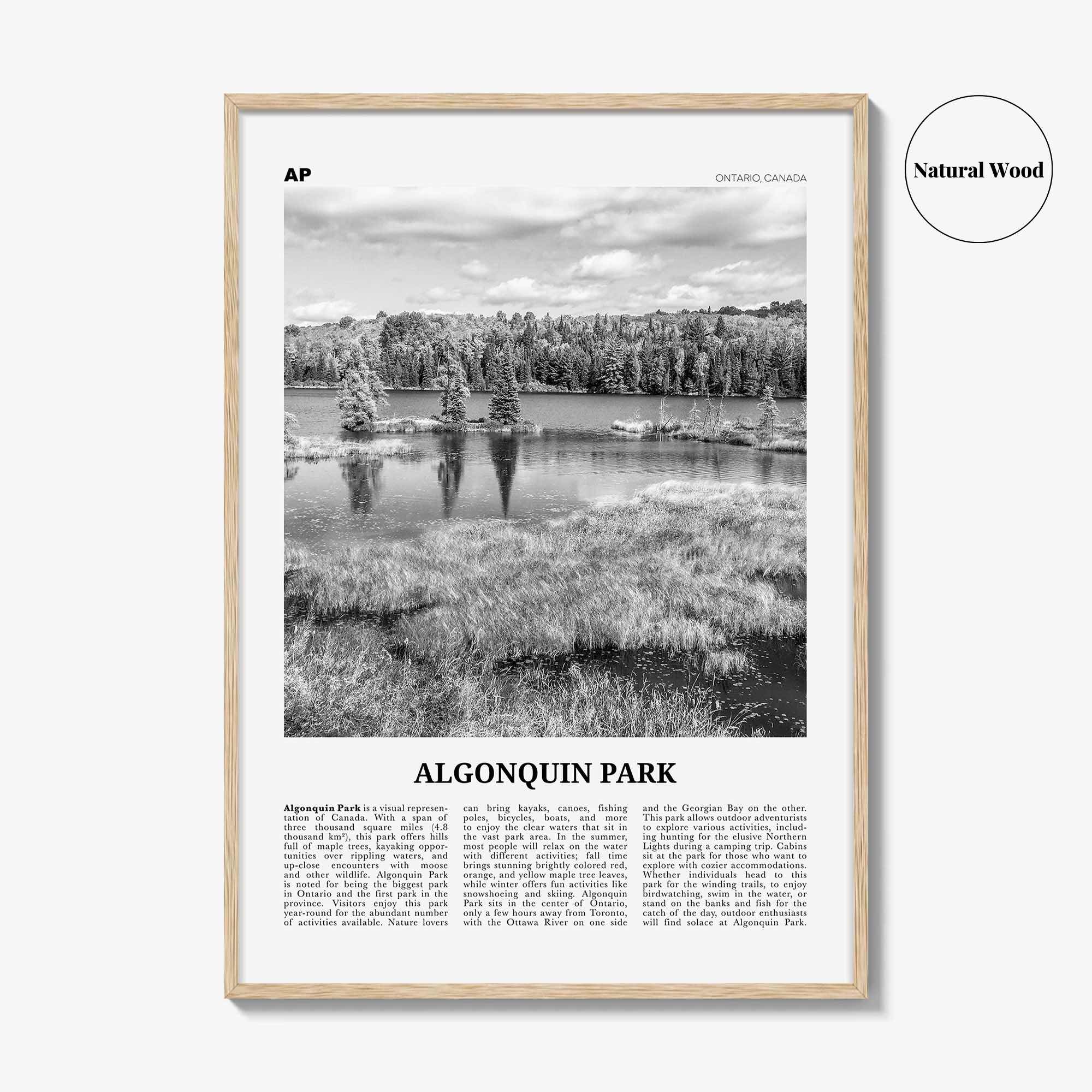 Algonquin Park Print Black and White, Algonquin Park Wall Art, Algonquin Park Poster, Algonquin Park Photo, Ontario, Canada