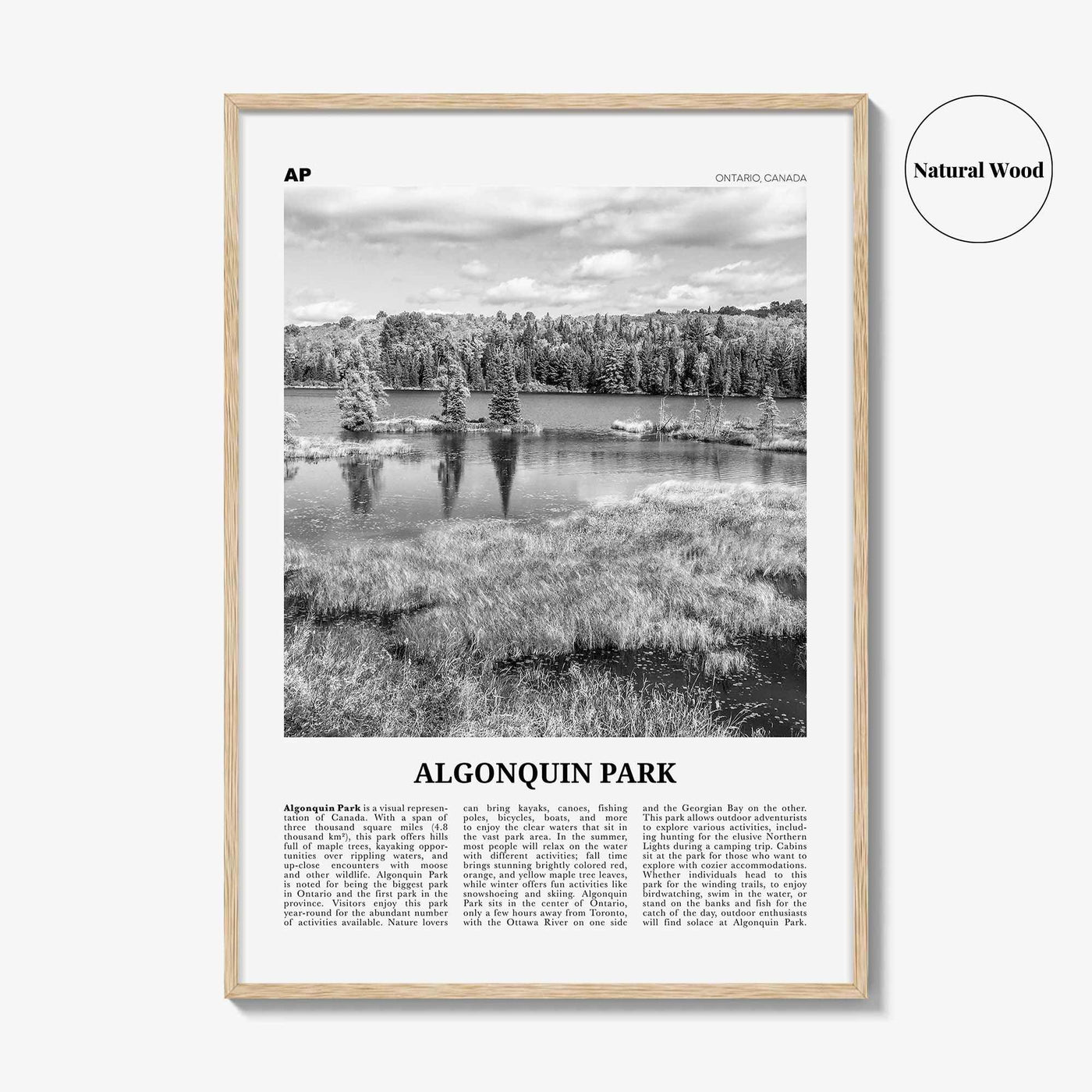 Algonquin Park Print Black and White, Algonquin Park Wall Art, Algonquin Park Poster, Algonquin Park Photo, Ontario, Canada