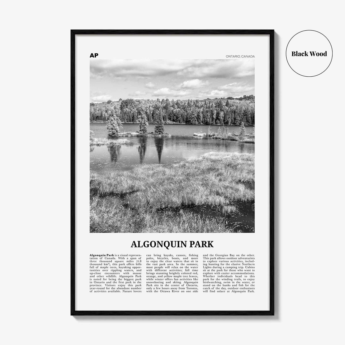 Algonquin Park Print Black and White, Algonquin Park Wall Art, Algonquin Park Poster, Algonquin Park Photo, Ontario, Canada