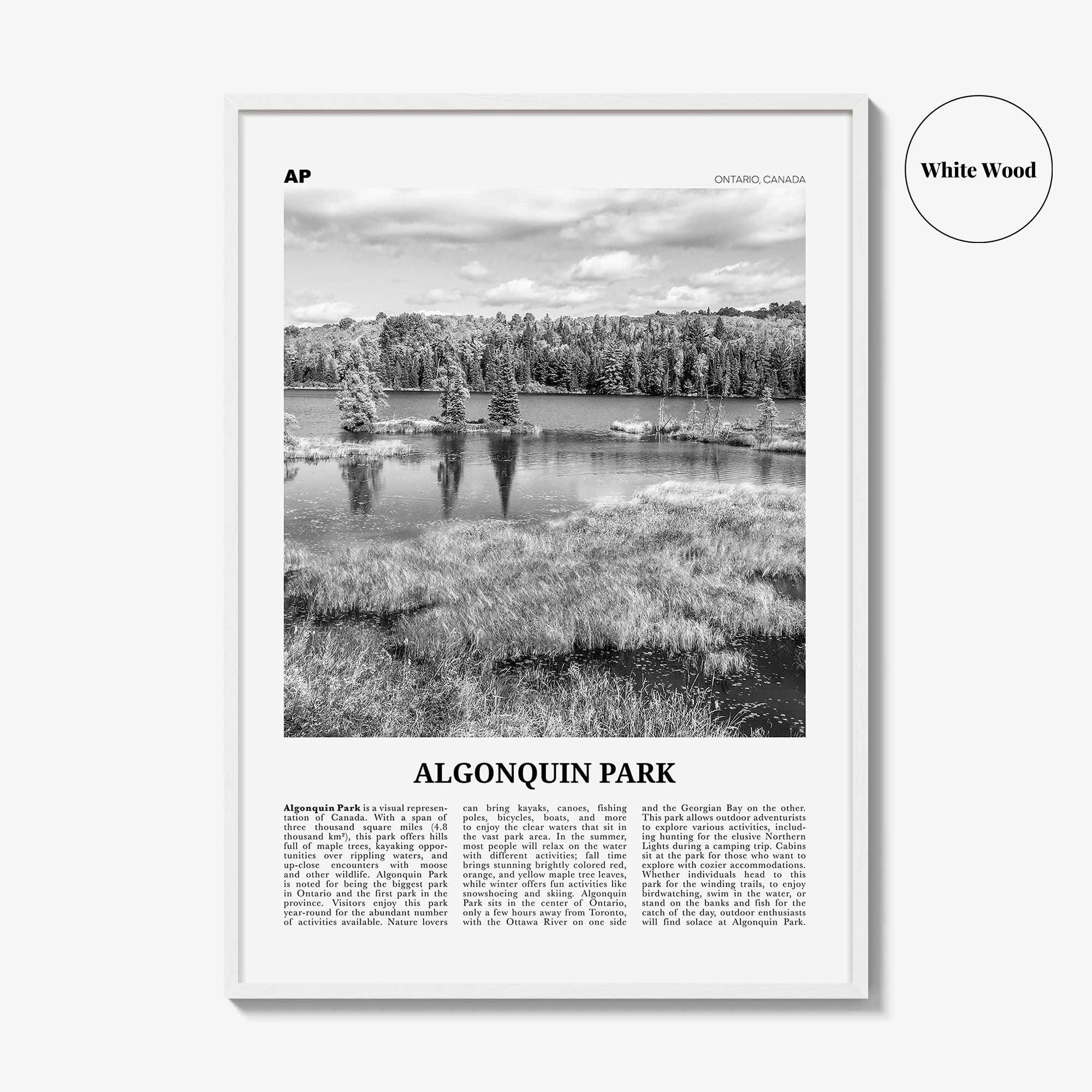 Algonquin Park Print Black and White, Algonquin Park Wall Art, Algonquin Park Poster, Algonquin Park Photo, Ontario, Canada