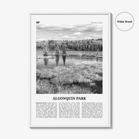 Algonquin Park Print Black and White, Algonquin Park Wall Art, Algonquin Park Poster, Algonquin Park Photo, Ontario, Canada
