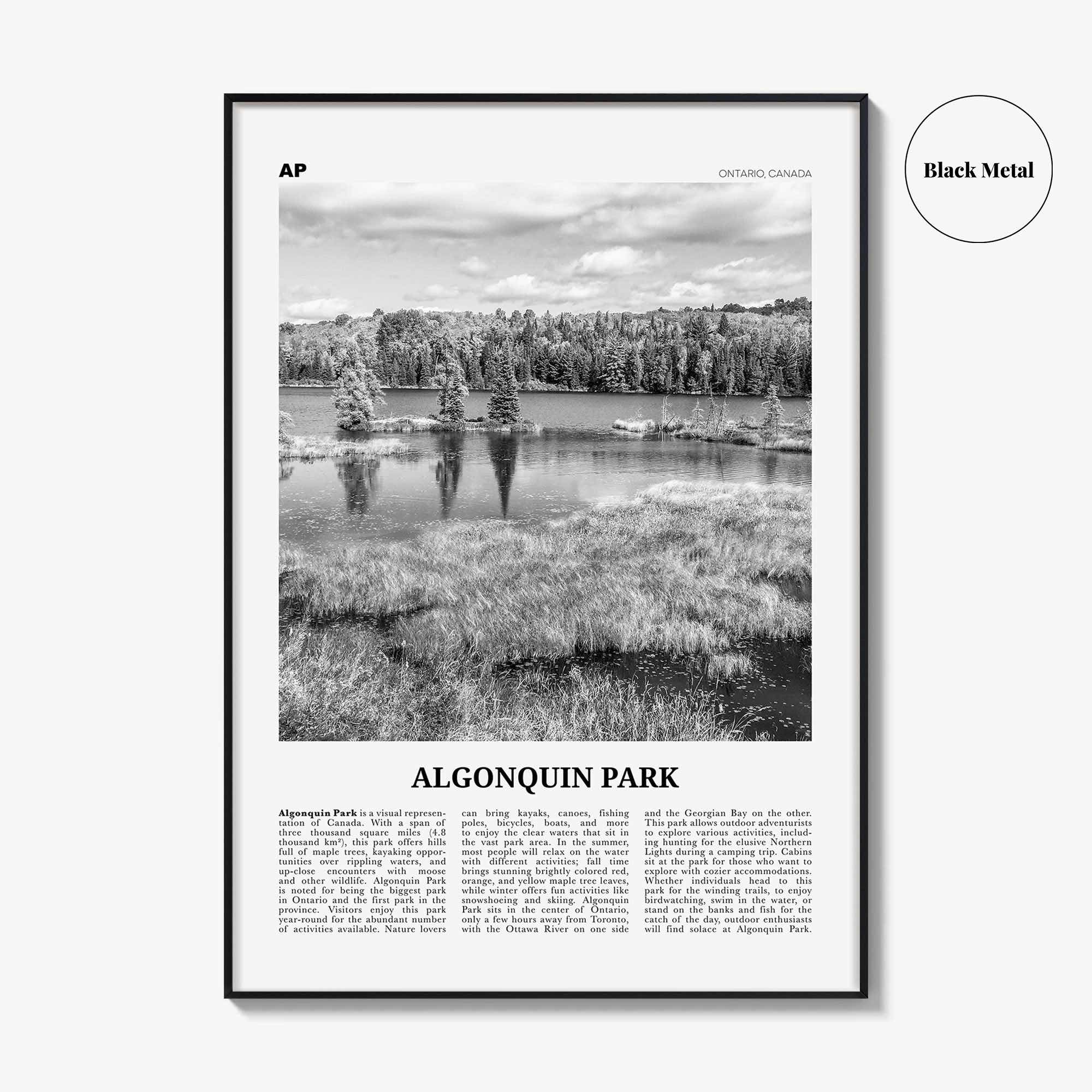 Algonquin Park Print Black and White, Algonquin Park Wall Art, Algonquin Park Poster, Algonquin Park Photo, Ontario, Canada
