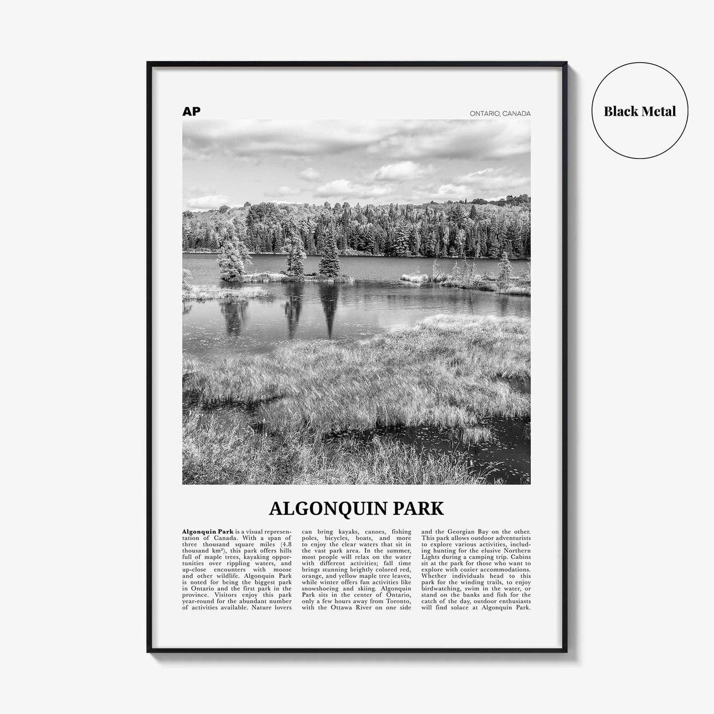 Algonquin Park Print Black and White, Algonquin Park Wall Art, Algonquin Park Poster, Algonquin Park Photo, Ontario, Canada
