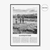 Algonquin Park Print Black and White, Algonquin Park Wall Art, Algonquin Park Poster, Algonquin Park Photo, Ontario, Canada