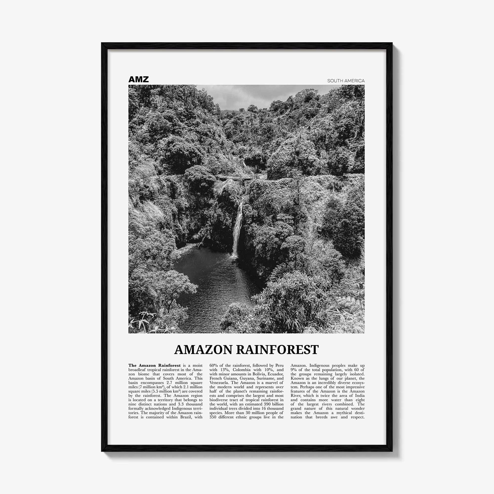 Amazon Rainforest Print Black and White, Amazon Wall Art, Amazon Poster, Amazon Photo, Amazon Jungle, Amazon Rainforest, South America