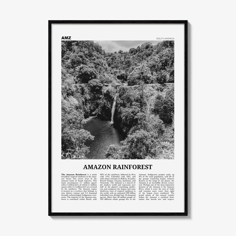 Amazon Rainforest Print Black and White, Amazon Wall Art, Amazon Poster, Amazon Photo, Amazon Jungle, Amazon Rainforest, South America