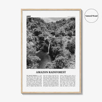 Amazon Rainforest Print Black and White, Amazon Wall Art, Amazon Poster, Amazon Photo, Amazon Jungle, Amazon Rainforest, South America