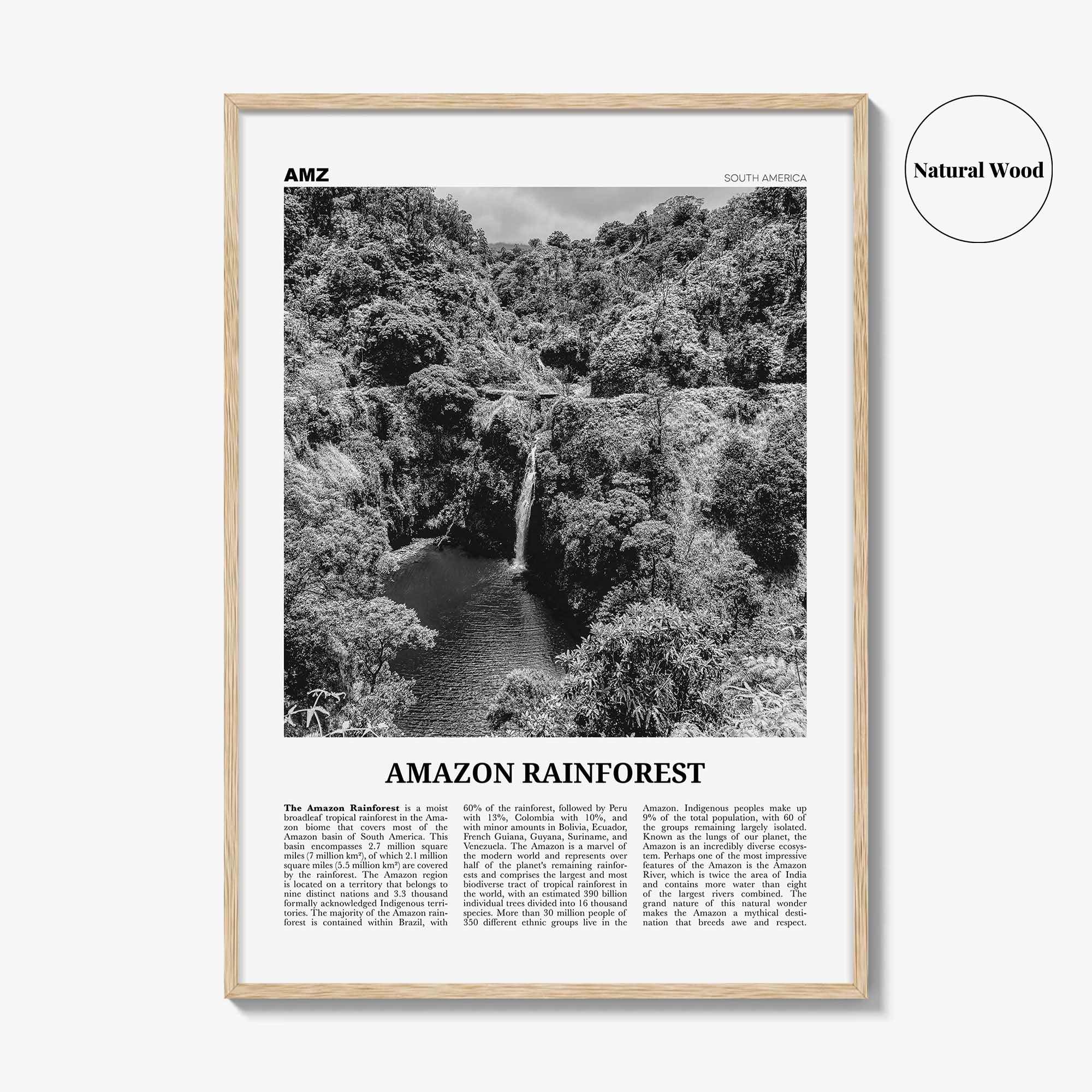 Amazon Rainforest Print Black and White, Amazon Wall Art, Amazon Poster, Amazon Photo, Amazon Jungle, Amazon Rainforest, South America