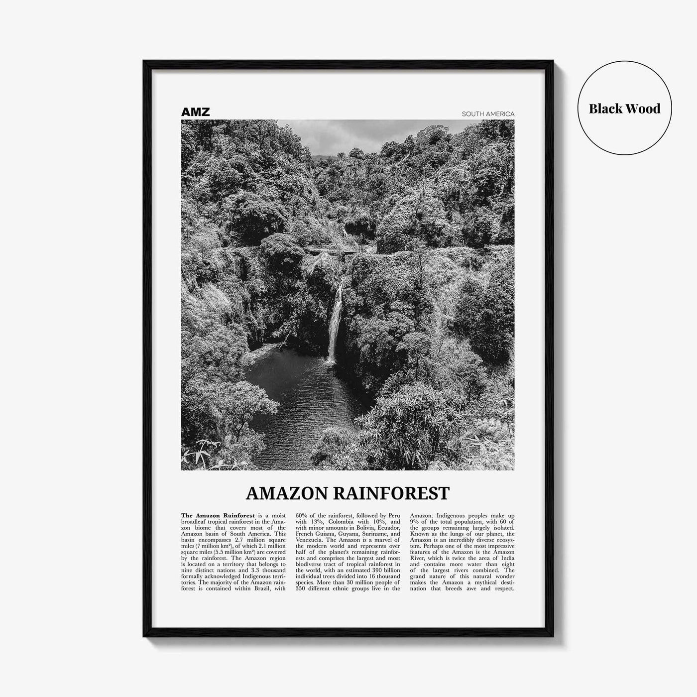 Amazon Rainforest Print Black and White, Amazon Wall Art, Amazon Poster, Amazon Photo, Amazon Jungle, Amazon Rainforest, South America