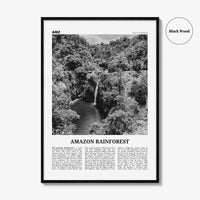 Amazon Rainforest Print Black and White, Amazon Wall Art, Amazon Poster, Amazon Photo, Amazon Jungle, Amazon Rainforest, South America
