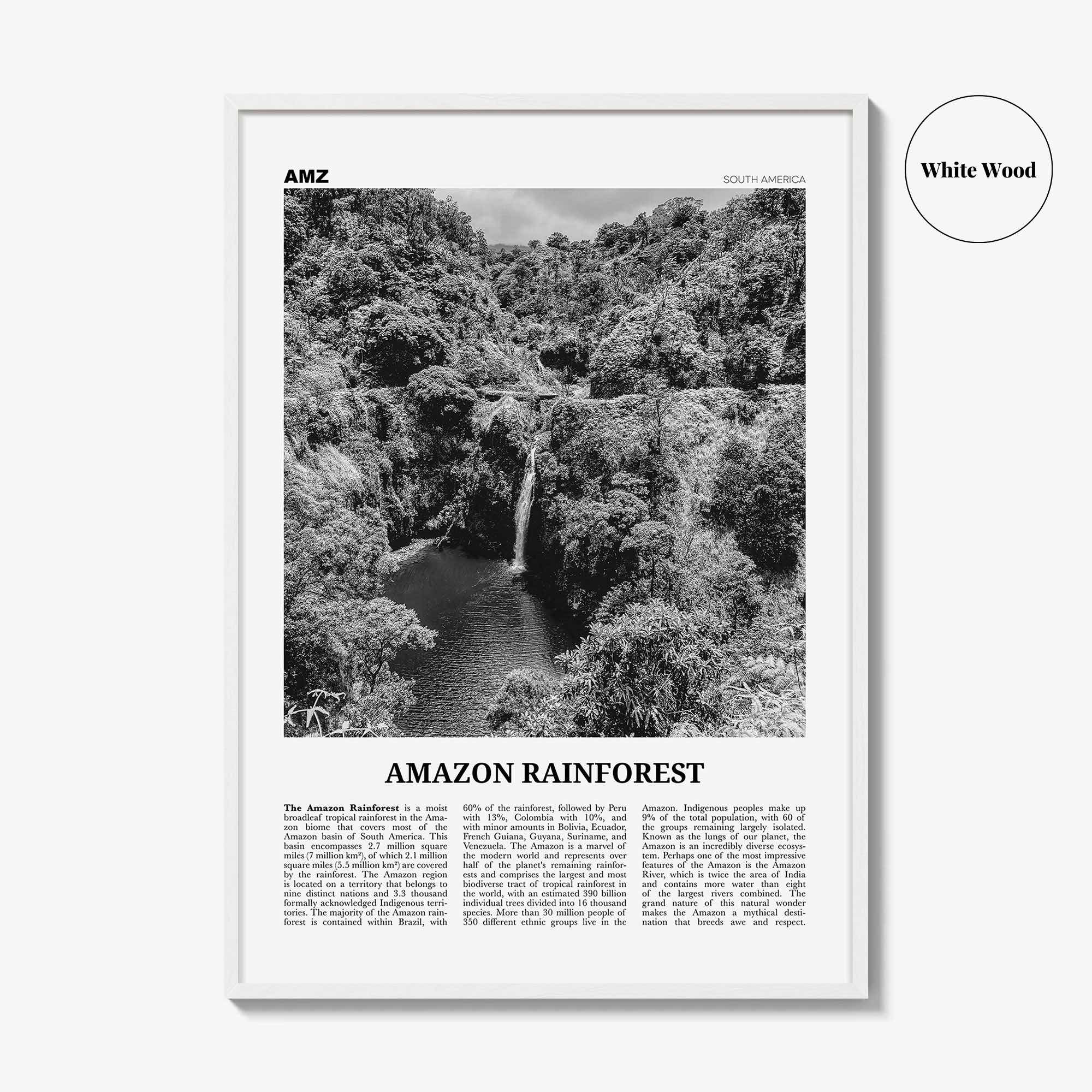 Amazon Rainforest Print Black and White, Amazon Wall Art, Amazon Poster, Amazon Photo, Amazon Jungle, Amazon Rainforest, South America