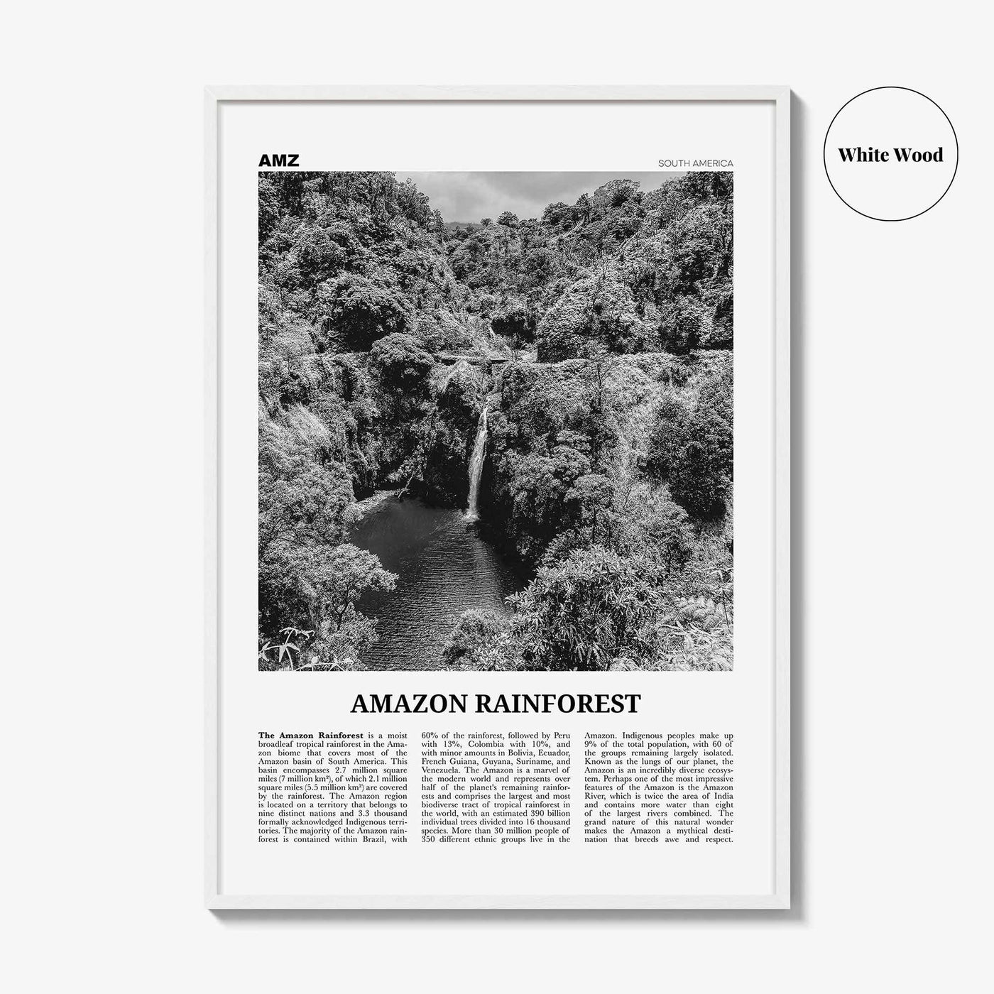 Amazon Rainforest Print Black and White, Amazon Wall Art, Amazon Poster, Amazon Photo, Amazon Jungle, Amazon Rainforest, South America