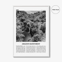 Amazon Rainforest Print Black and White, Amazon Wall Art, Amazon Poster, Amazon Photo, Amazon Jungle, Amazon Rainforest, South America