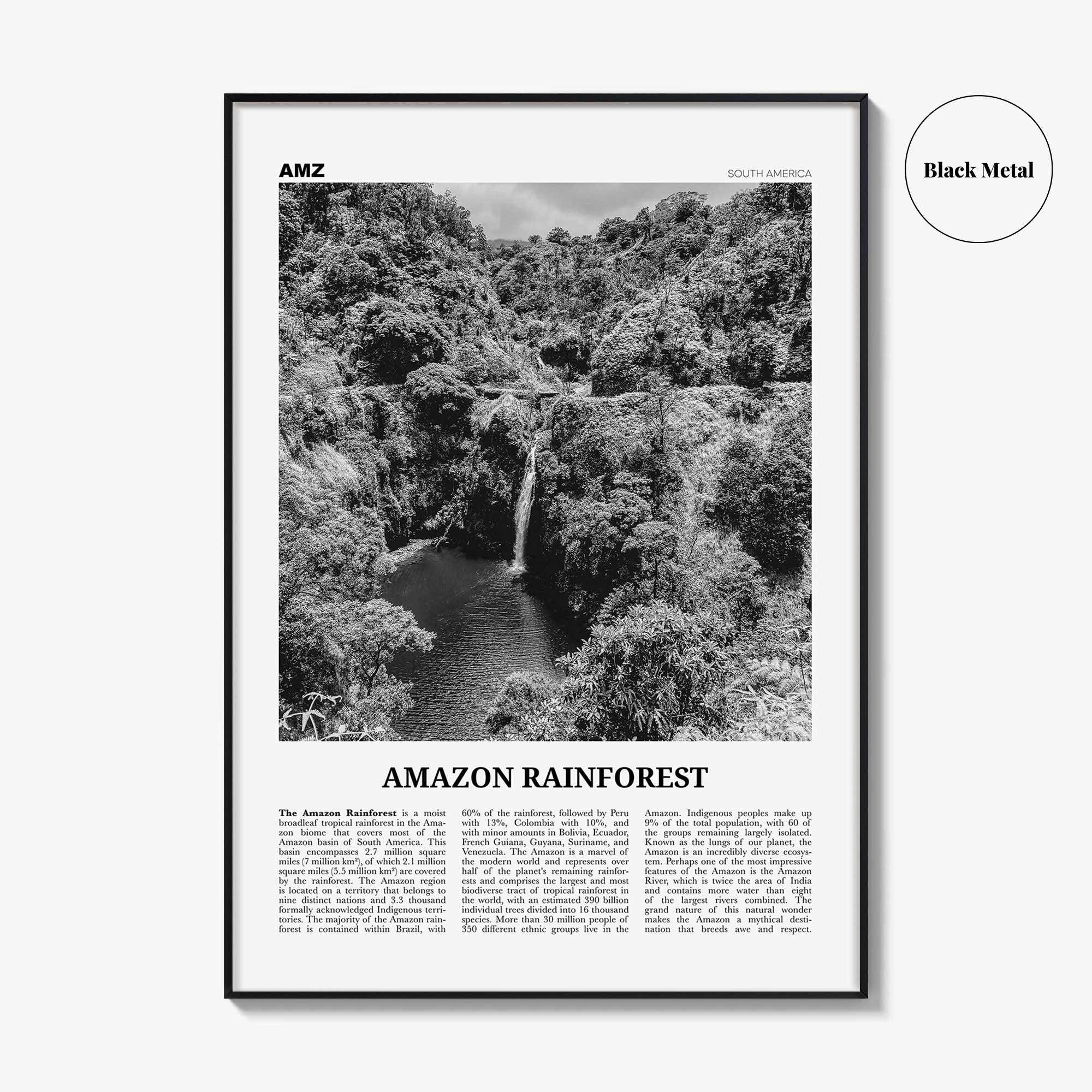 Amazon Rainforest Print Black and White, Amazon Wall Art, Amazon Poster, Amazon Photo, Amazon Jungle, Amazon Rainforest, South America