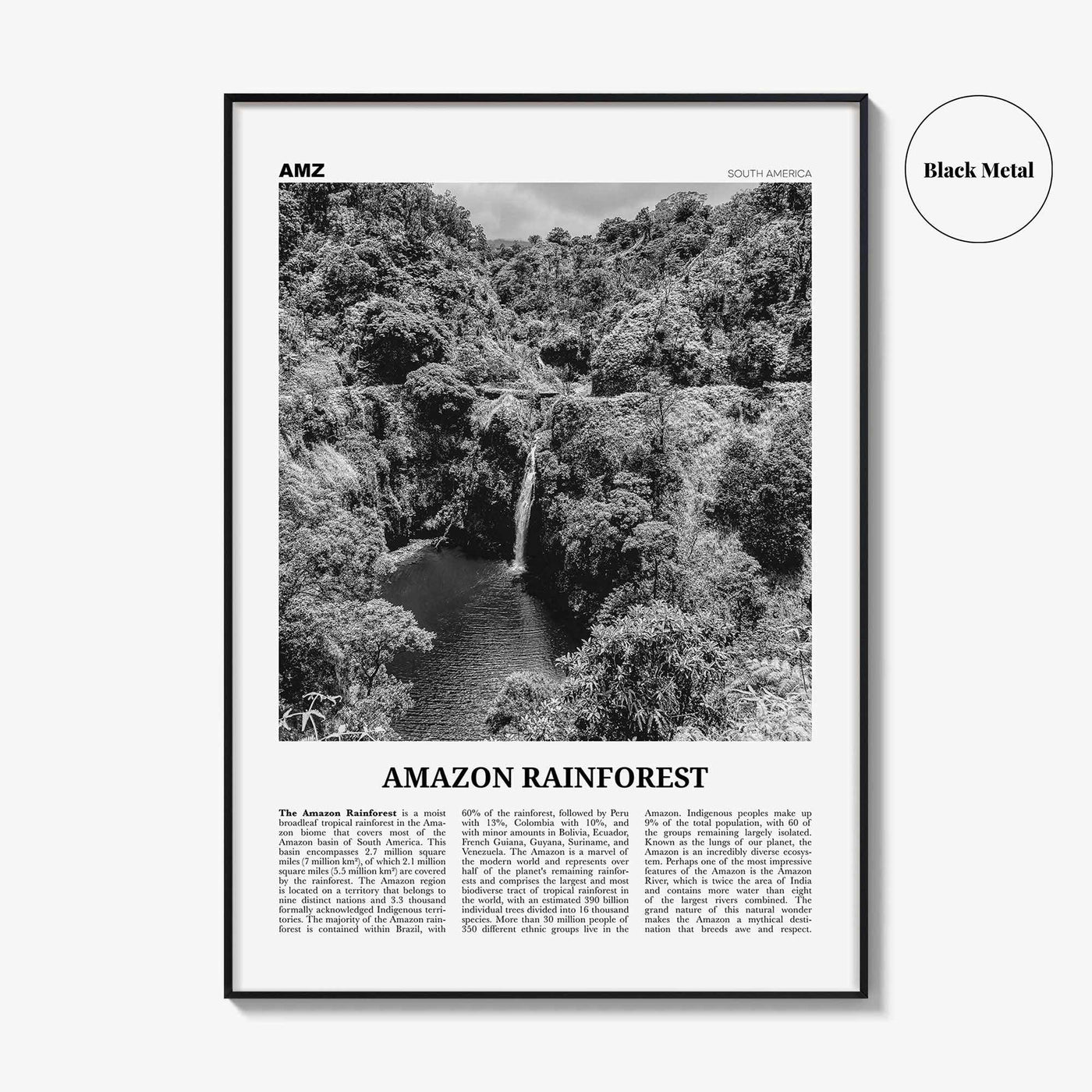 Amazon Rainforest Print Black and White, Amazon Wall Art, Amazon Poster, Amazon Photo, Amazon Jungle, Amazon Rainforest, South America