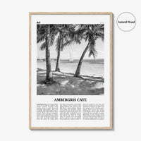 Ambergris Caye Print Black and White, Ambergris Caye Wall Art, Ambergris Caye Poster, Ambergris Caye Photo, Ambergris Caye Decor, Belize
