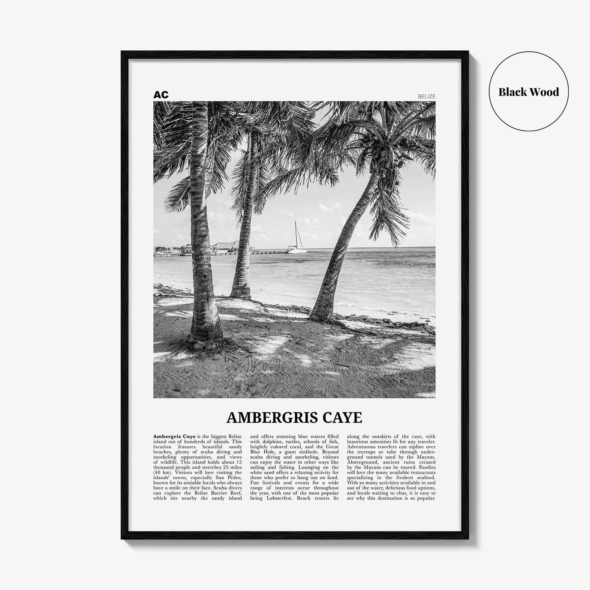 Ambergris Caye Print Black and White, Ambergris Caye Wall Art, Ambergris Caye Poster, Ambergris Caye Photo, Ambergris Caye Decor, Belize