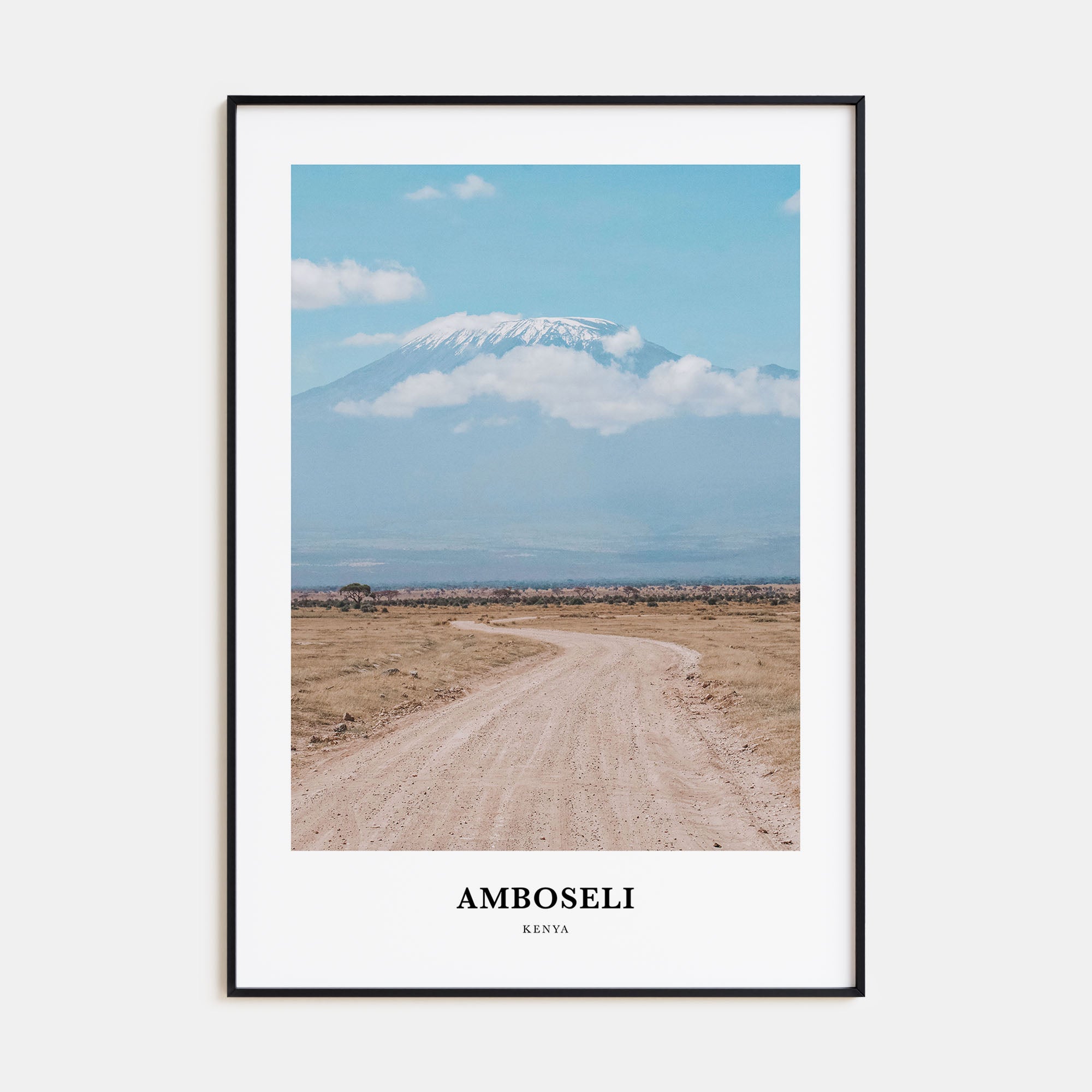 Amboseli Portrait Color Poster