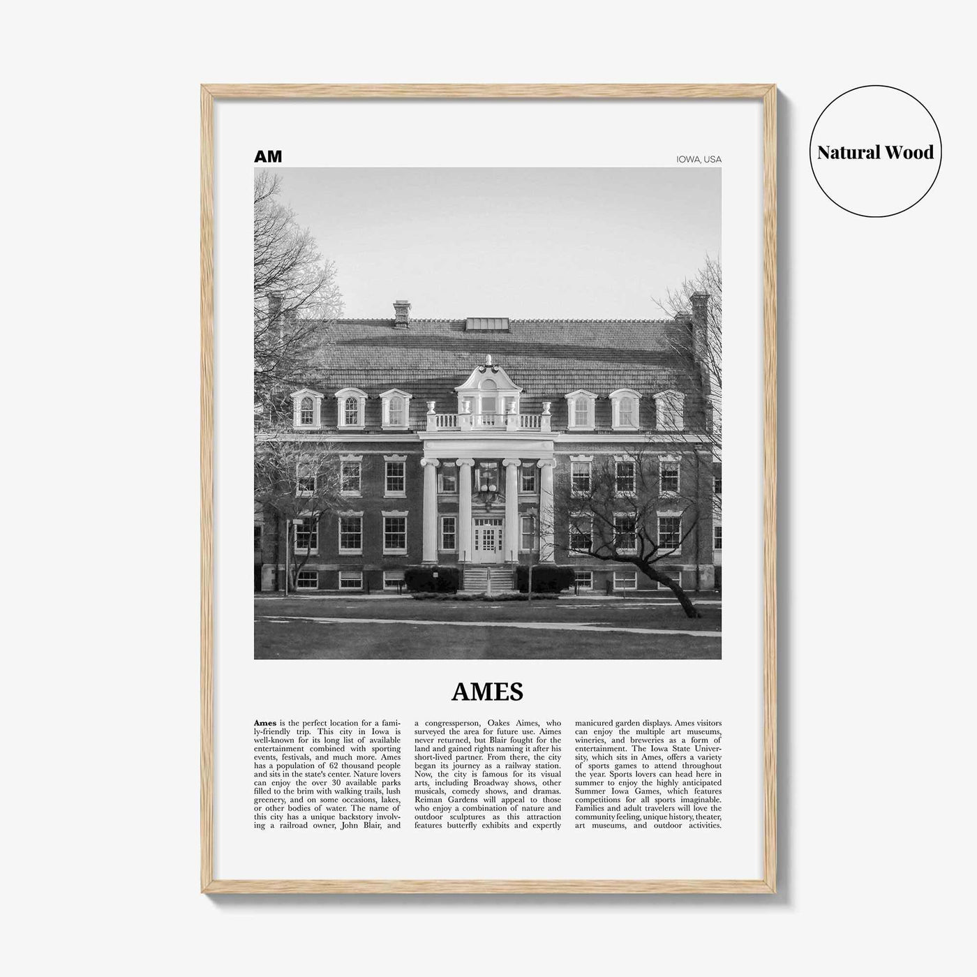 Ames Print Black and White, Ames Wall Art, Ames Poster, Ames Photo, Ames Map, Ames Wall Decor, Iowa, USA, United States