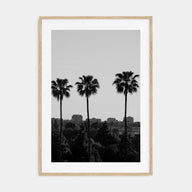 Anaheim Photo B&W Poster