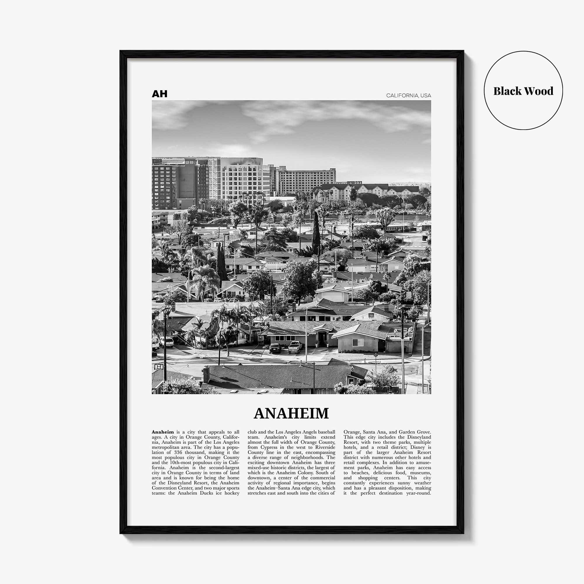 Anaheim Print Black and White No 2, Anaheim Wall Art, Anaheim Poster, Anaheim Photo, California, USA, United States, North America