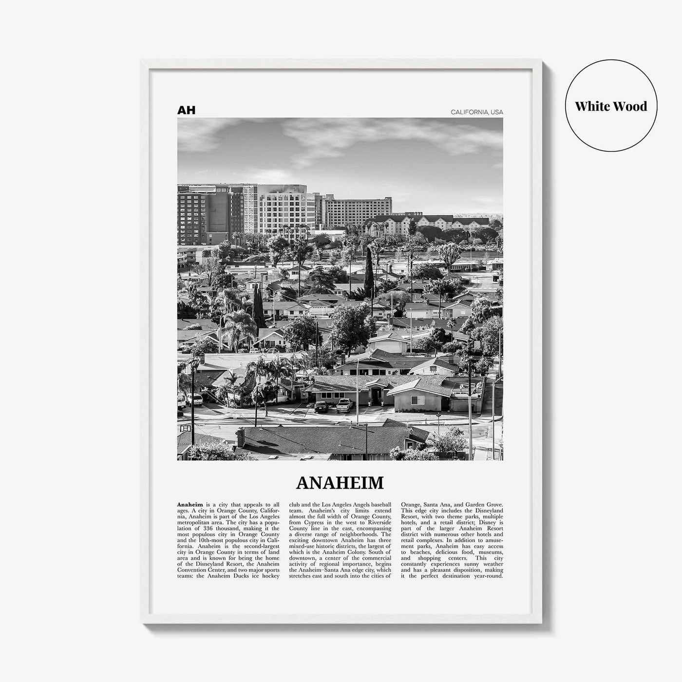 Anaheim Print Black and White No 2, Anaheim Wall Art, Anaheim Poster, Anaheim Photo, California, USA, United States, North America