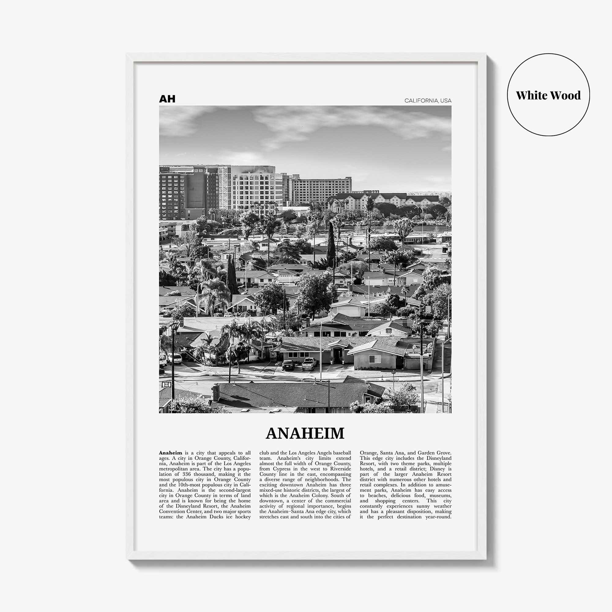 Anaheim Print Black and White No 2, Anaheim Wall Art, Anaheim Poster, Anaheim Photo, California, USA, United States, North America
