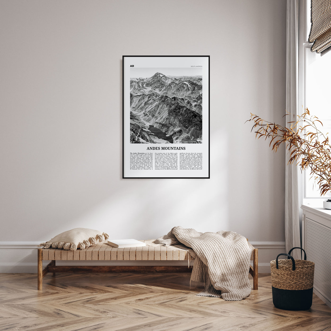 Andes Mountains Travel B&W Poster