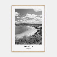 Anguilla Portrait B&W Poster
