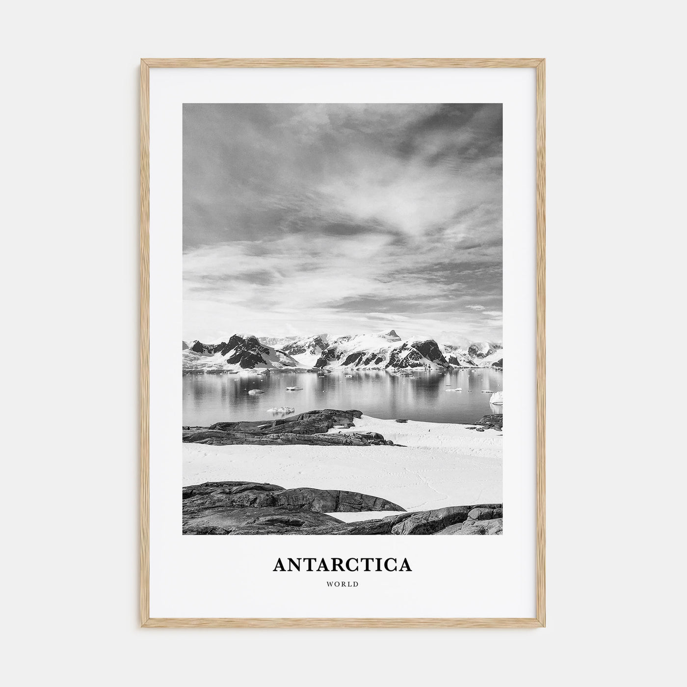 Antarctica Portrait B&W Poster