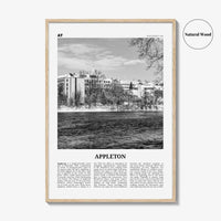 Appleton Print Black and White, Appleton Wall Art, Appleton Poster, Appleton Photo, Appleton Wall Décor, Appleton Map,  Wisconsin, USA