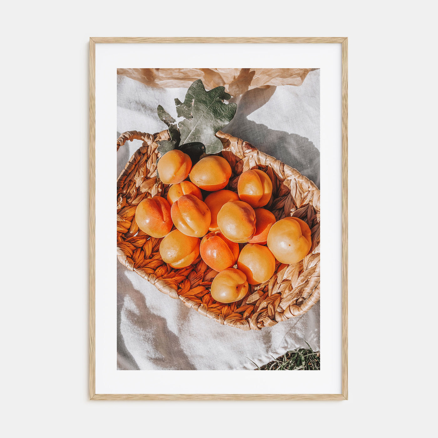 Apricots Photo Color Poster