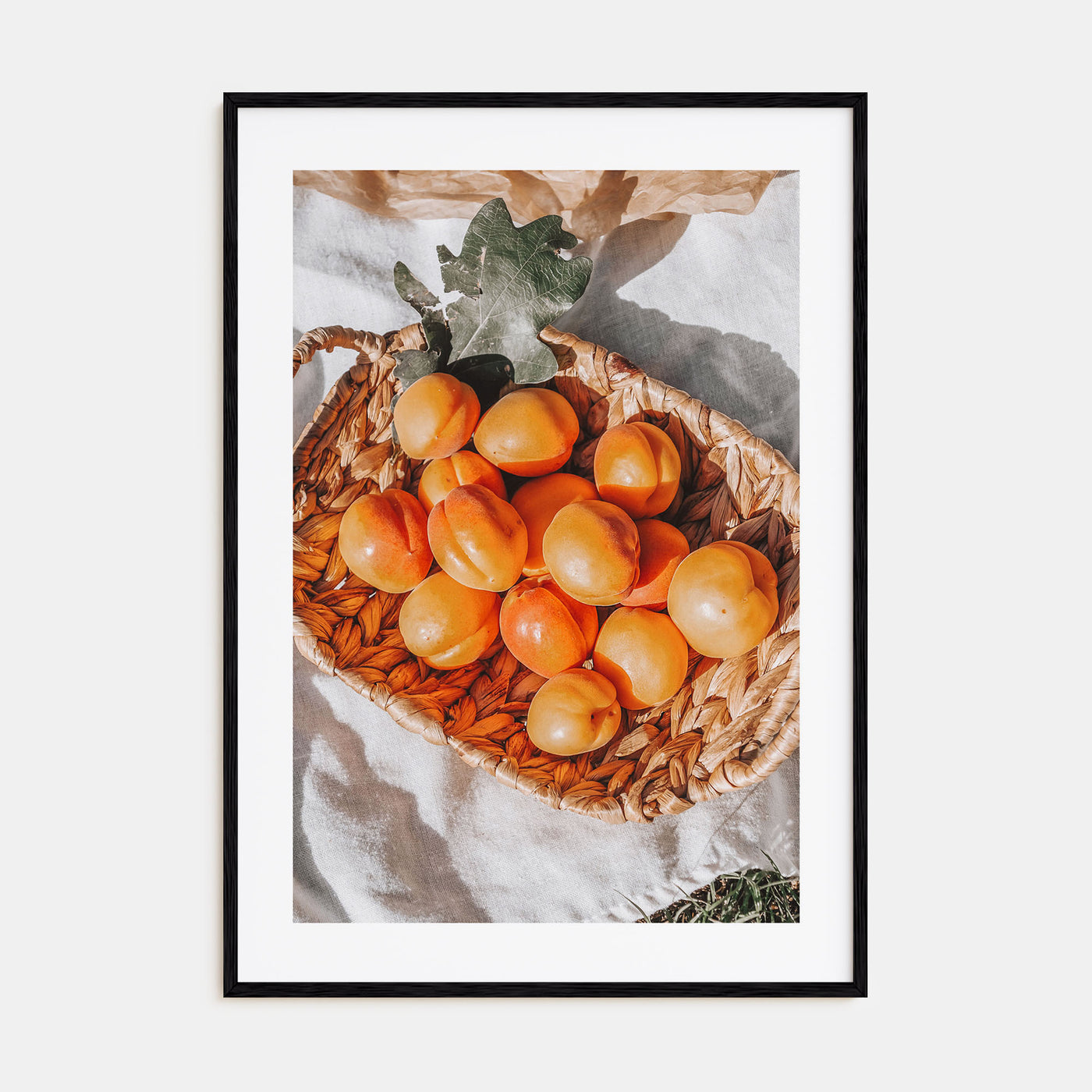 Apricots Photo Color Poster