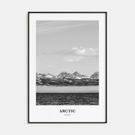 Arctic Portrait B&W Poster