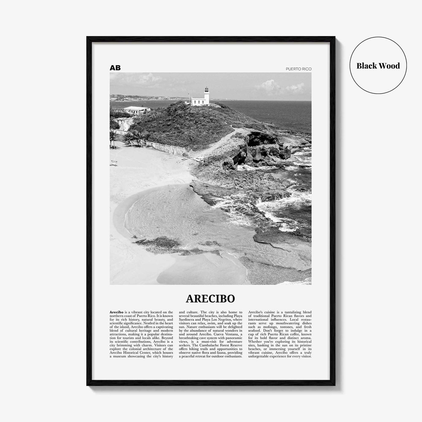Arecibo Print Black and White No 1, Arecibo Wall Art, Arecibo Poster, Arecibo Photo, Arecibo Wall Décor, Arecibo Map, Puerto Rico